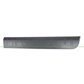 Kotflügel DS2033004