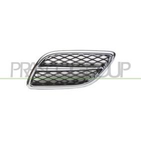 Kühlergrill DS5202004