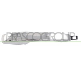 Motorhaube DS5203100