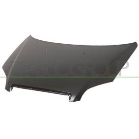 Motorhaube DW3273100