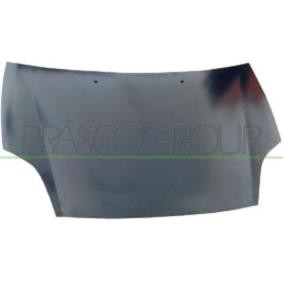 Motorhaube FT1383100