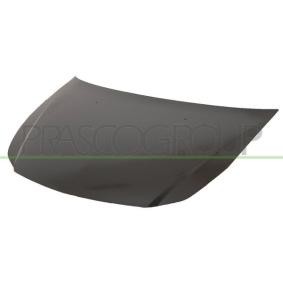 Motorhaube FT3603100
