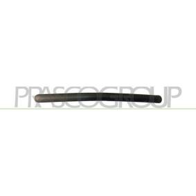 Acquista Mostrina, Paraurti da PRASCO HD0341204 a buon mercato per soli 12,25 €