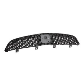 Kühlergrill HD0382011