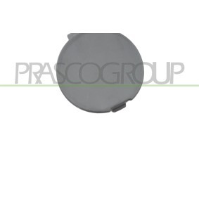 Motorhaube MZ0113110