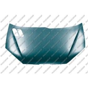 Motorhaube PG0093100