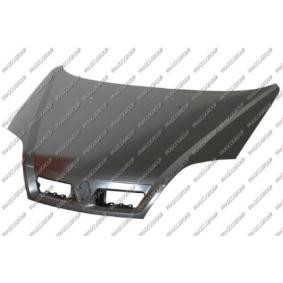 Motorhaube RN0313100