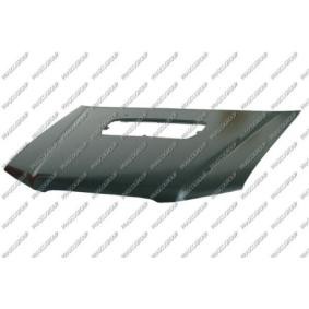 Motorhaube SB8123100