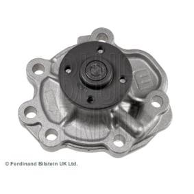 Comprar Bomba de agua de BLUE PRINT ADK89124 a bajo precio de 48,33 €