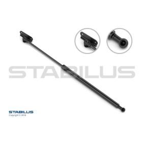 Heckklappendämpfer 015527