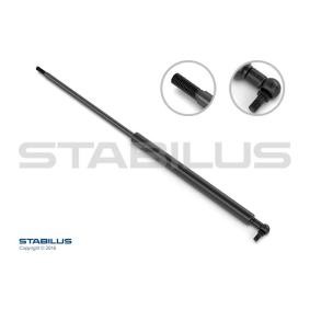 Gasfeder, Flügeltür 0314QY