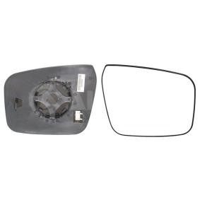 Spiegelglas, Außenspiegel 6431572