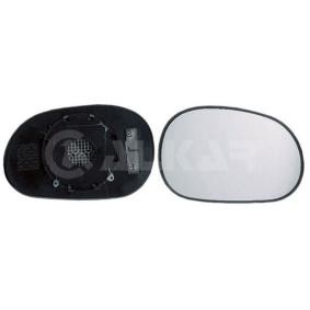 Spiegelglas, Außenspiegel 6432224