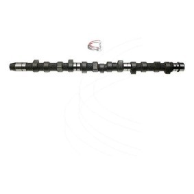 Nockenwelle CP10212