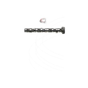 Acquista Albero a camme da CAMPRO CP10241 a buon mercato per soli 171,56 €