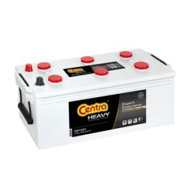 Batterie CD1353