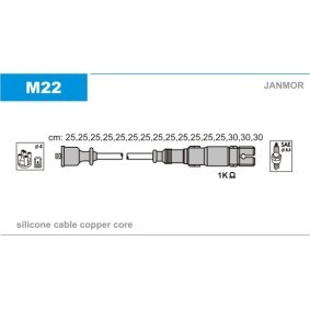 Zündleitungssatz M22