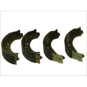 Bremsbackensatz C01041ABE