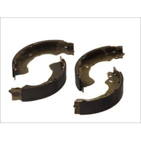 Bremsbackensatz C01051ABE