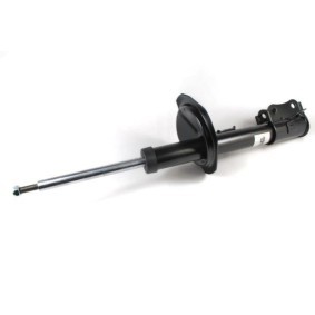 Druckspeicher, Federung / Dämpfung AS0059MT von Magnum Technology günstig für 28,86 € online kaufen