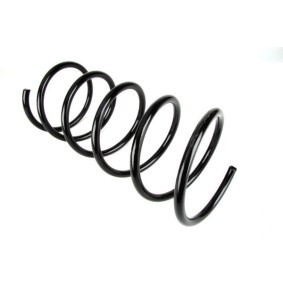 Fahrwerksfeder SG050MT von Magnum Technology günstig für 24,17 € online kaufen
