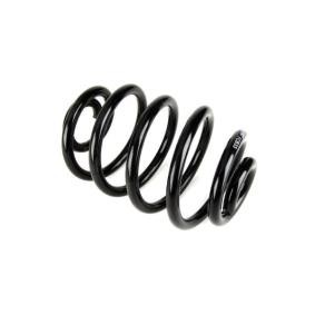 Fahrwerksfeder SR039MT von Magnum Technology günstig für 32,67 € online kaufen
