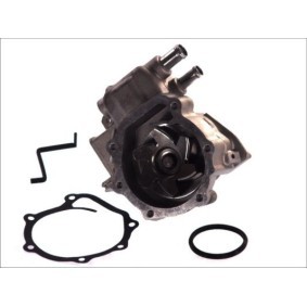 Wasserpumpe D17009TT