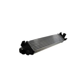 Köp Intercooler av THERMOTEC DAG002TT till det låga priset 2028,62 kr