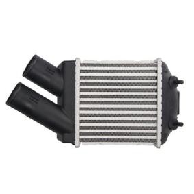 Kjøp Intercooler fra THERMOTEC på nett for Scénic I (JA0/1_, FA0_) til moderate priser