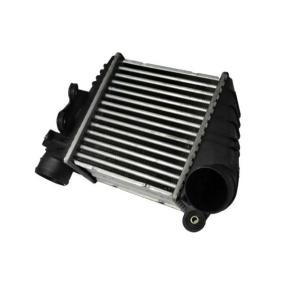 Köp Intercooler av THERMOTEC DAW001TT till det låga priset 1740,61 kr