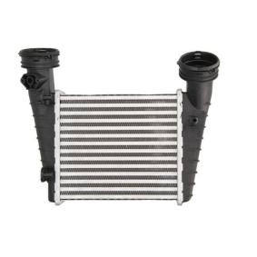 Comprar Intercooler de THERMOTEC DAW004TT a bajo precio de 58,63 €