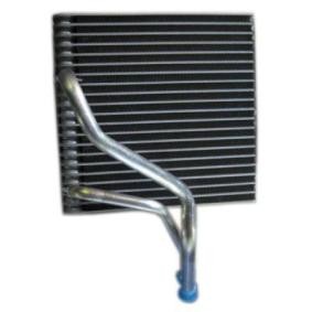 Klimaverdampfer von THERMOTEC für Toledo II Limousine (1M2) günstig online kaufen