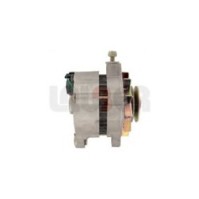 Lichtmaschine 11.0295