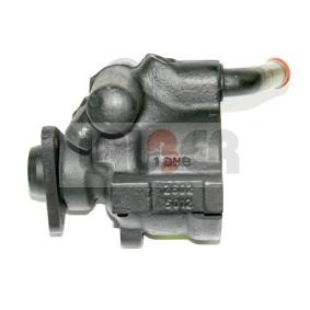 Servopumpe 55.0205