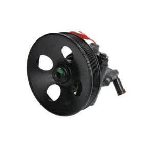 Servopumpe 55.0400
