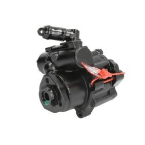 Servopumpe 55.0499 von LAUBER günstig für 126,49 € online kaufen