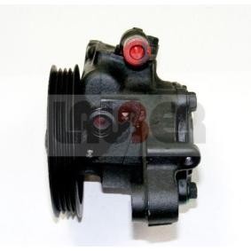 Servopumpe 55.0662 von LAUBER günstig für 167,36 € online kaufen