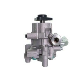 Servopumpe 55.1724 von LAUBER günstig für 89,82 € online kaufen