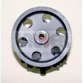 Servopumpe von LAUBER 55.5080