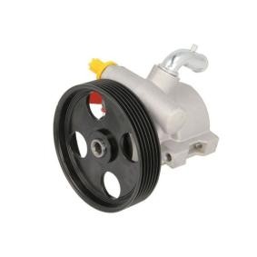 Servopumpe 55.5082 von LAUBER günstig für 110,23 € online kaufen