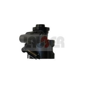 Servopumpe 55.5101 von LAUBER günstig für 152,23 € online kaufen