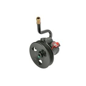 Servopumpe von LAUBER 55.9263