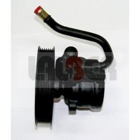 Servopumpe von LAUBER 55.9936