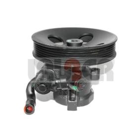 Servopumpe von LAUBER 55.0006