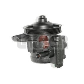 Servopumpe 55.0746