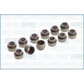 Dichtungssatz, Ventilschaft 57009700