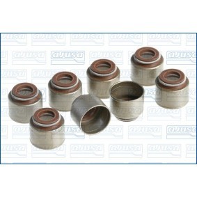 Dichtungssatz, Ventilschaft 57009900