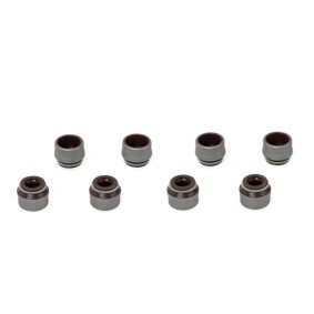 Dichtungssatz, Ventilschaft 57013400 DACIA SUPERNOVA von AJUSA