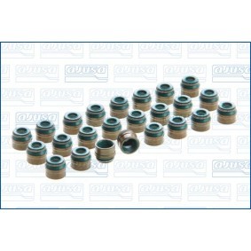 Dichtungssatz, Ventilschaft 57020400