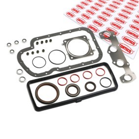 Dichtungsvollsatz, Motor 430613P